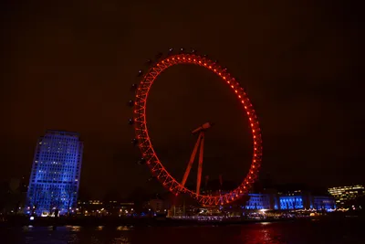 DSC_5718 (Large).JPG